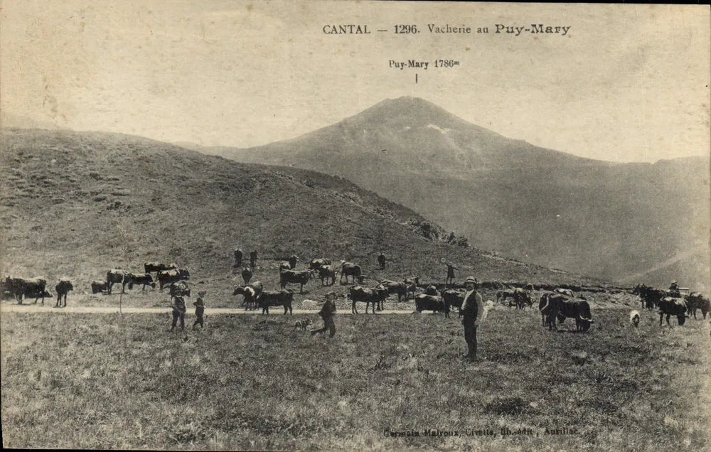 Cantal — 1296. Viehweide am Puy-Mary — Germain Malroux, Civette, Aubrac, Aurillac - Vorderseite