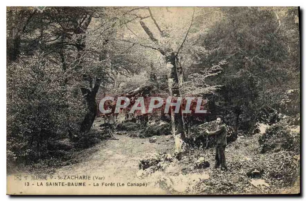 La Sainte-Baume - A Floresta (O Canapé) — St-Zacharie (Var) — editor não identificado, n° 13 - Frente