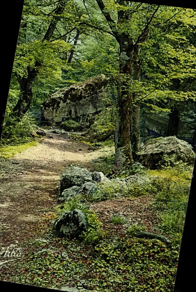 Floresta da Sainte-Baume — trilha e rochedos — Les Belles Éditions Françaises, Nice - Frente