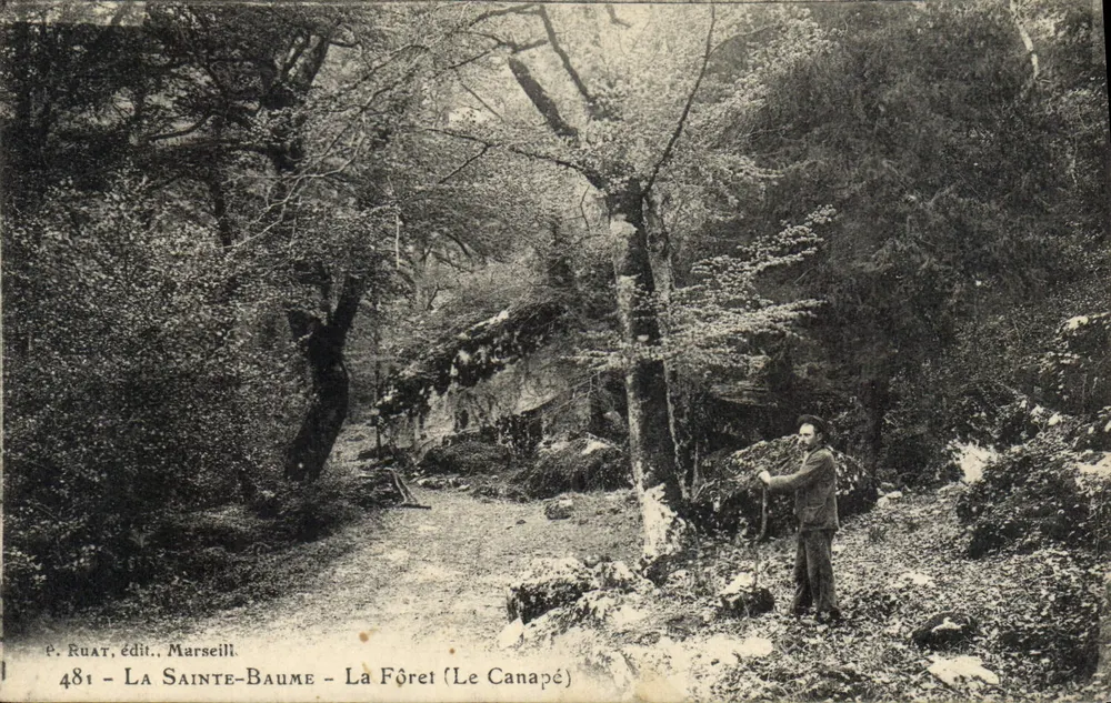 A Sainte-Baume - A Floresta (O Canapé) — P. Ruat, editor, Marselha — n° 481 - Frente