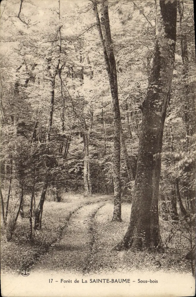 Woud van La Sainte-Baume — Onder het woud — Onbekende uitgever, n°17 - Voorkant