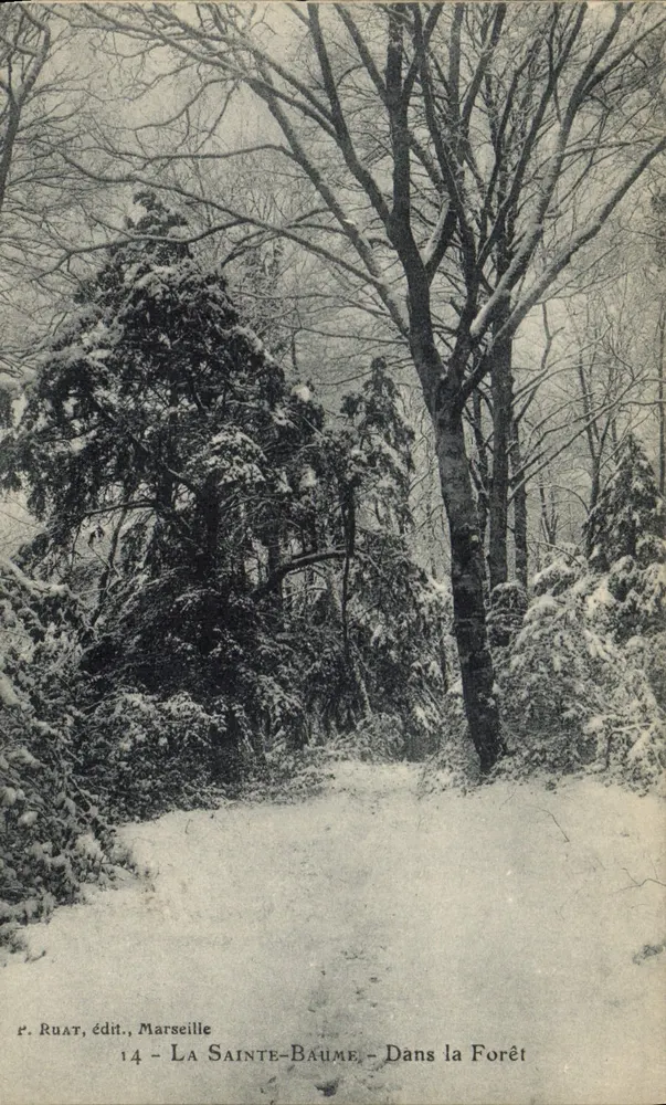La Santa Baume - Na Floresta — P. Ruat, editor, Marselha, n°14 - Frente