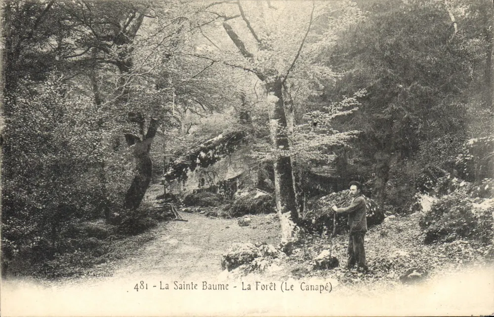 La Santa Baume - Na Floresta (O Canapé) — Fotografia de Marselha, n°481 - Frente