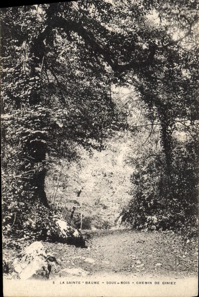 La Sainte-Baume - Sous-Bois - Chemin de Giniez — Verlag: Dimpressio, Toulouse, n°5 - Vorderseite