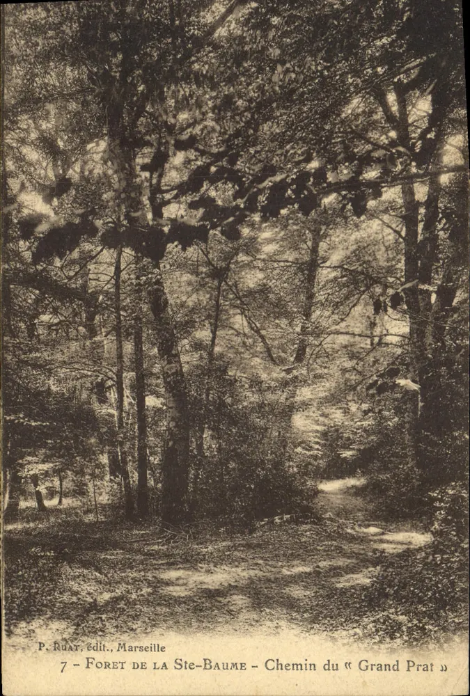 Floresta da Ste-Baume — Caminho do « Grand Prat » — P. Ruat, editor, Marselha - Frente