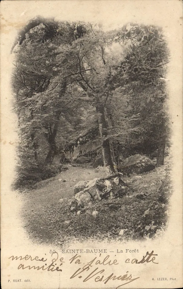 Sainte-Baume — A Floresta — P. Ruat editor n°55 - Frente