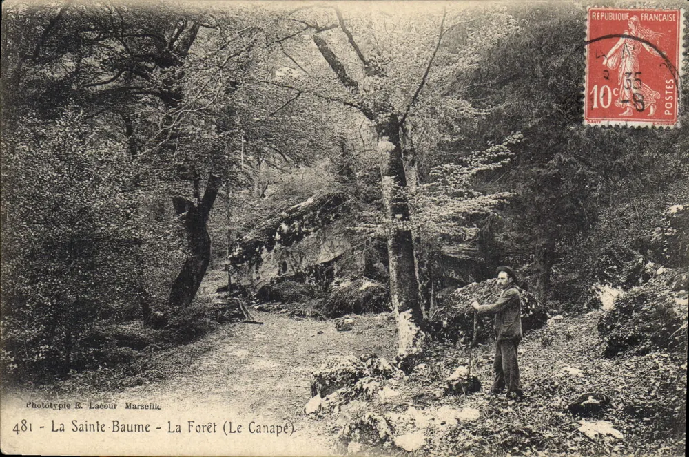 La Forêt (Le Canapé) — A Santa Bauma — Fototipia E. Lacour Marseille - Frente