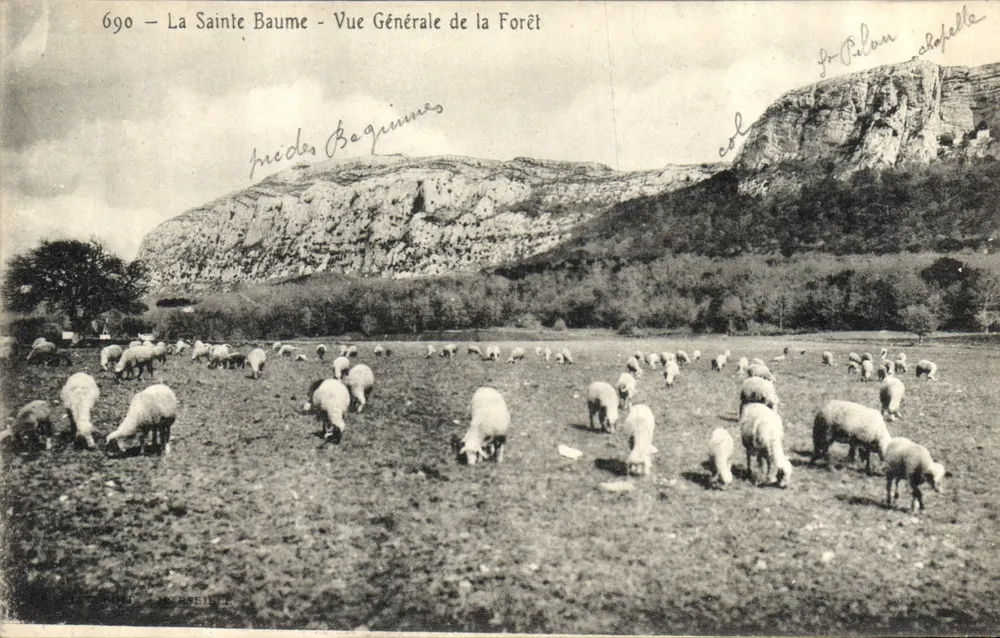 A Santa Bauma — Vista Geral da Floresta — Editor Marseille, n° 690 - Frente