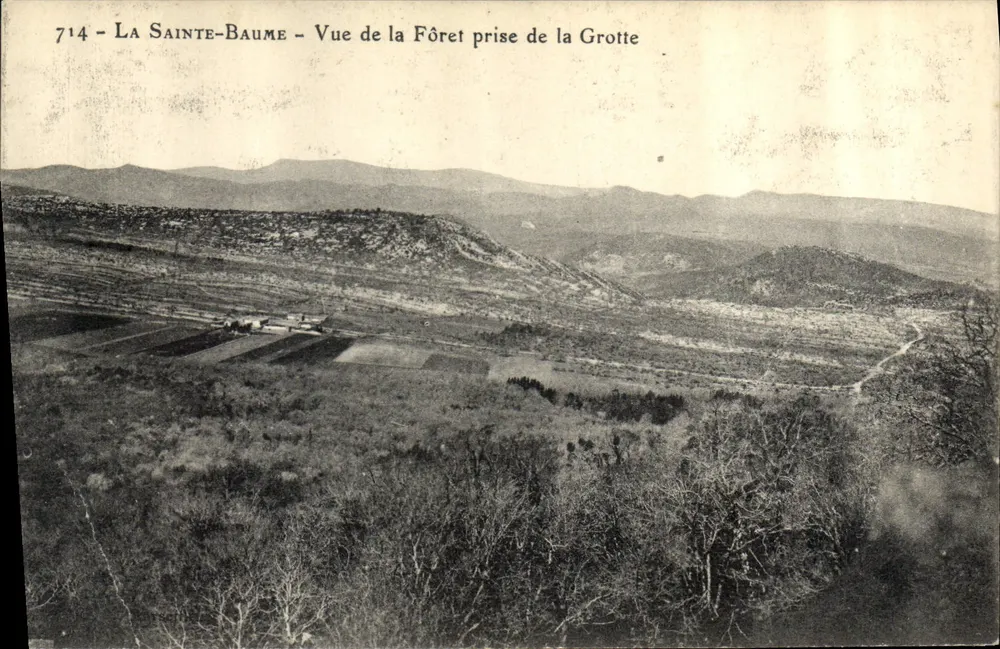 La Sainte-Baume - Ansicht der Forêt aus der Grotte — unbekannter Verlag, Nr. 714 - Vorderseite