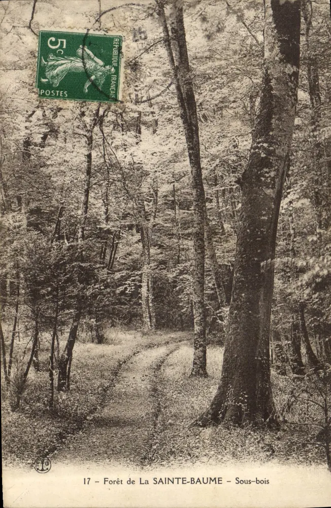 Floresta de La Sainte-Baume — Sous-bois — editor anônimo, n° 17 - Frente