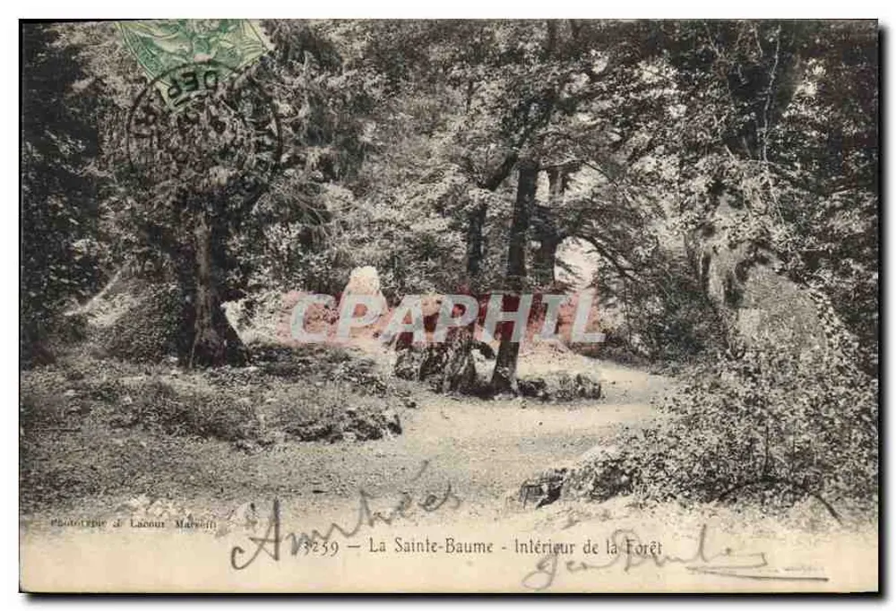 La Sainte-Baume — Interior da Floresta — fototipia de Lacour Marcelli n° 3259 - Frente