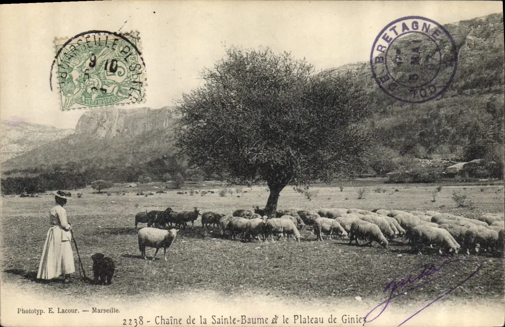 Kette der Sainte-Baume & Plateau von Giniez — Phototyp. E. Lacour — Marseille — Nr. 2238 - Vorderseite