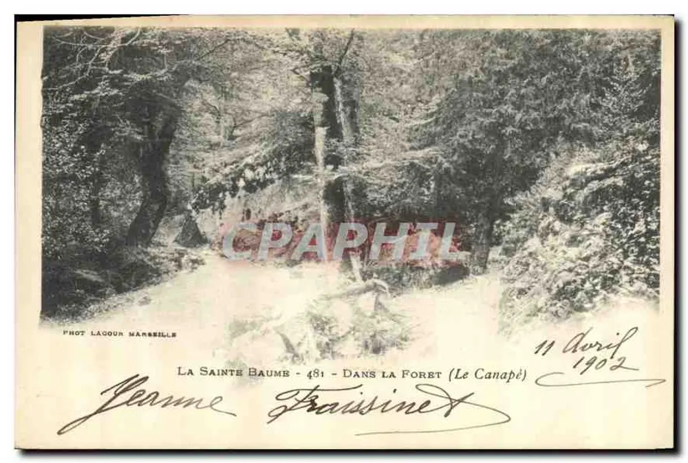 La Sainte Baume - 481 - Dans la Forêt (Le Canapé) — Fot. Lagour Marbelle - Frente