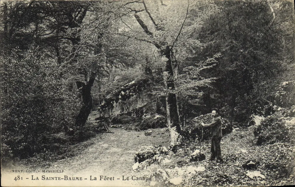 La Sainte-Baume - La Foresta - Il Canapé — Ruat Edit. - Marseille, n°481 - Recto