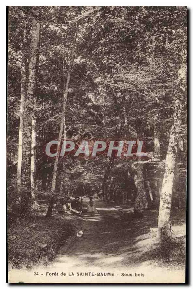 Floresta de LA SAINTE-BAUME - Sous-bois — Bilhete postal antigo n°24 - Frente