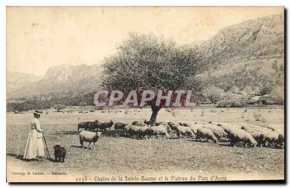 Kette der Heiligen Baume und der Plateau von Plan d'Aups — Phototyp. E. Lacour — Marseille, Nr. 2238 - Vorderseite
