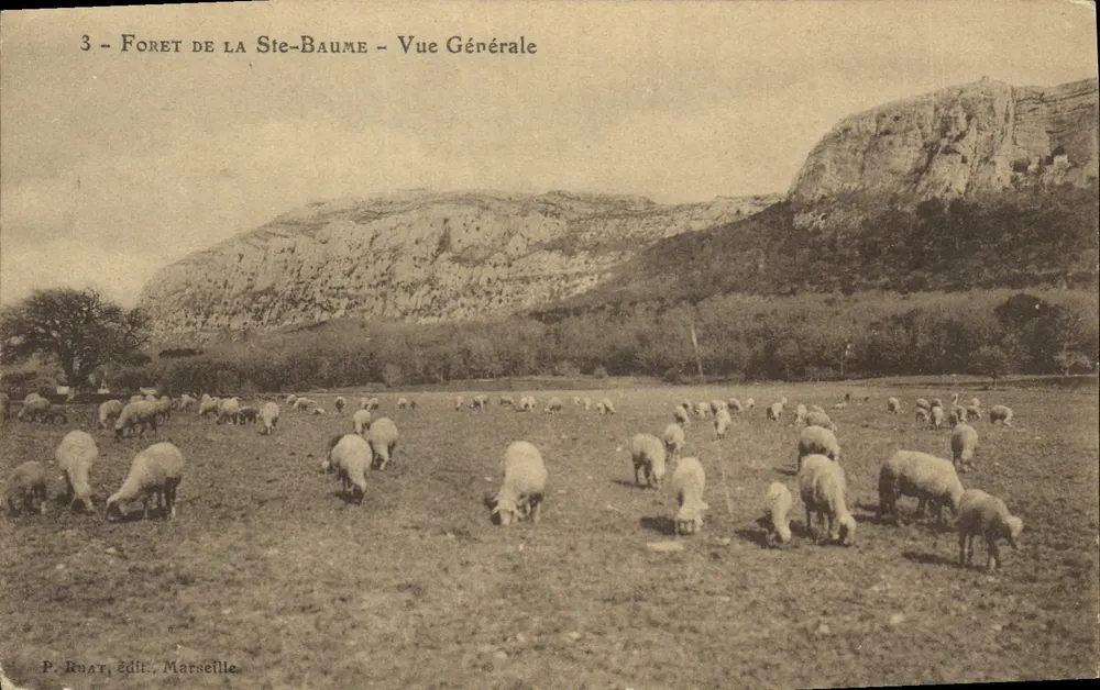 Floresta da Santa Baume — Vista Geral — P. Ruat, editor, Marselha - Frente