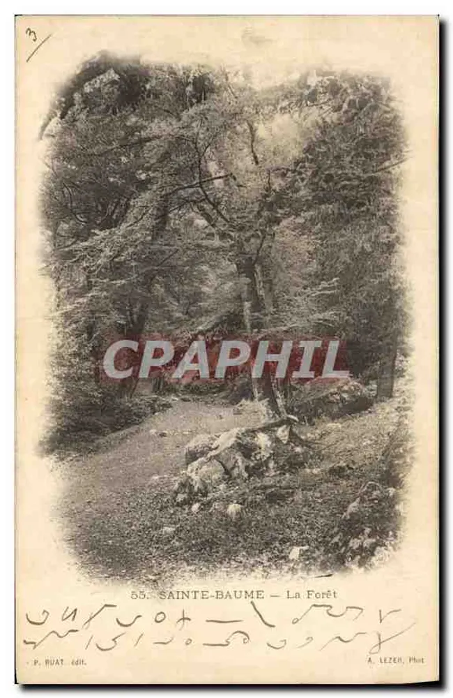 Sainte-Baume — A Floresta — P. Huat, editor - Frente