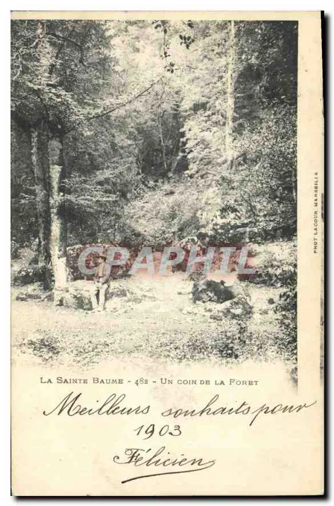 La Sainte Baume - 482 - Um canto da floresta — Fot. Lacoir, Marselha - Frente