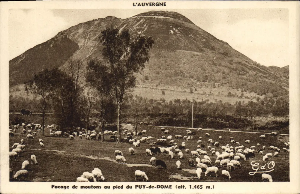 Schafherde am Fuße des PUY-DE-DOME (Höhe 1.465 m.) — Auvergne — Verleger Gd'O - Vorderseite
