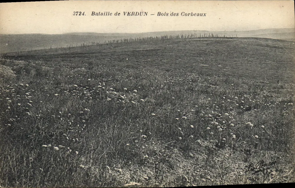 Batalha de VERDUN — Bosque dos Corvos — La Denue - Frente