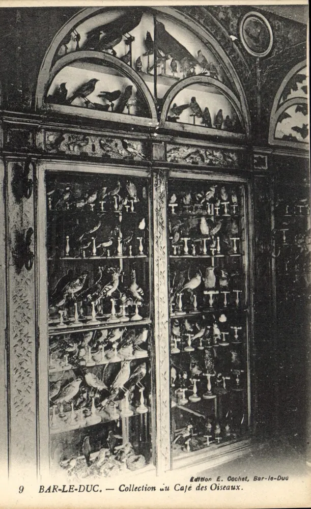 Bar-le-Duc — Coleção no Café dos Pássaros — Edição E. Cochet, Bar-le-Duc - Frente