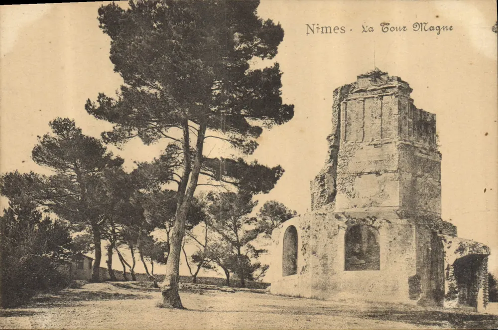 Nîmes - A Torre Magna — ruínas de uma construção antiga cercadas por pinheiros - Frente