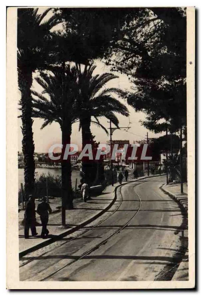 Vista da promenade dos Ingleses em Toulon — editor Ed. MARY, 34, rue Laugier — número de série não visível - Frente