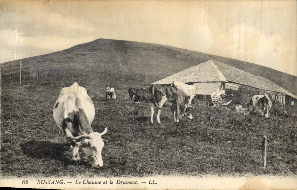 Bussang — Il Chaume e il Drumont — LL. - Recto