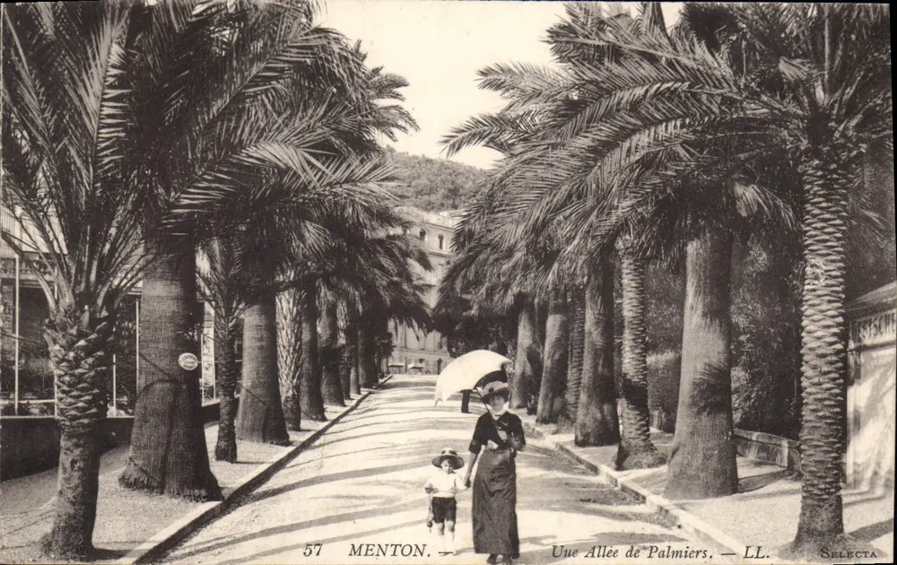 Menton — Avenida dos Palmeiros — LL Selecta, n°57 - Frente
