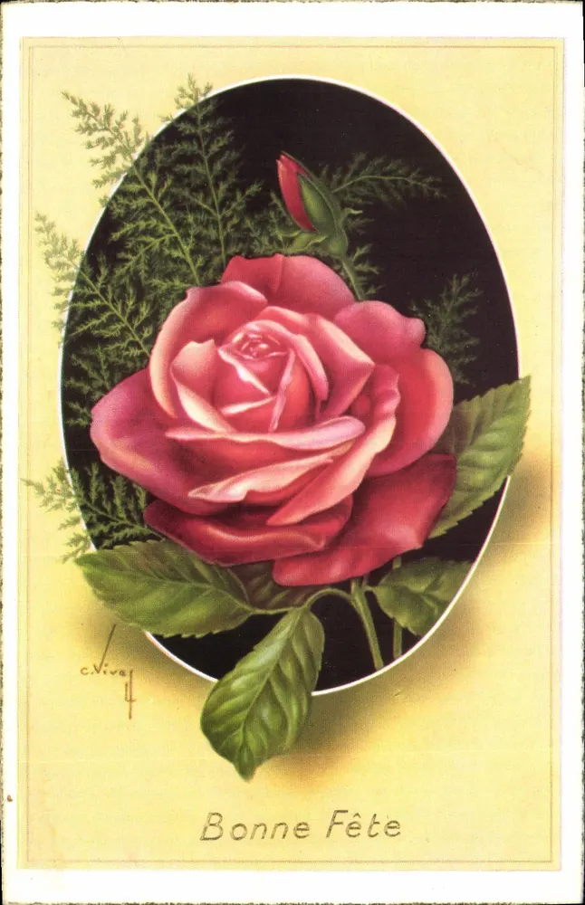 Rosas — Boa Festas — c.Vive 4 - Frente