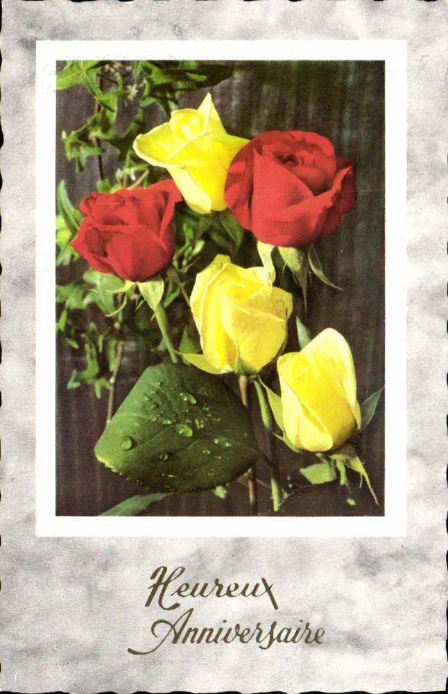 Arranjo de rosas vermelhas e amarelas — Feliz Aniversário — editor não visível - Frente