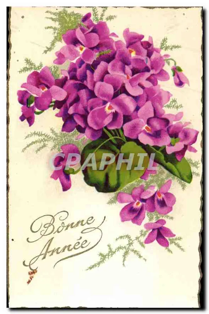 Violetas — Boa Ano — Fleurs-GIL - Frente