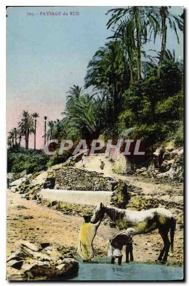 Paisagem do Sul — cena de lavagem de um cavalo perto de um rio — editor P.S. (n° 707) - Frente