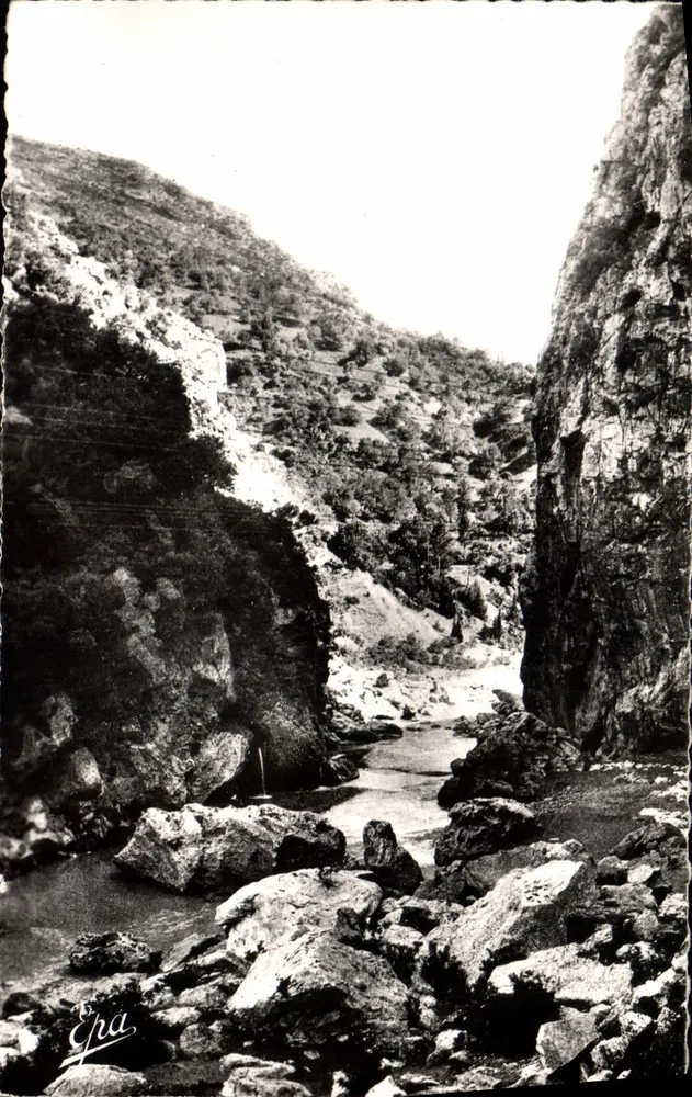 Gorges de Palestro — Die Kleinen Wasserfälle und der Oued — Éditions Photo-Véritable, Alger - Vorderseite