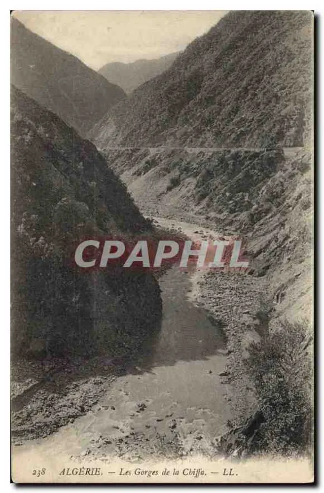 Argélia — As Gorges da Chiffa — LL. n° 238 - Frente
