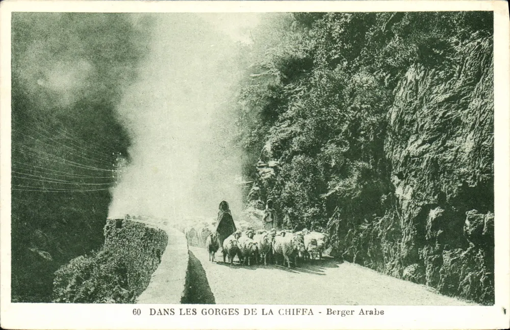 Dans les gorges de la Chiffa — Berger arabe — Édition Reypaud, Bida - Frente