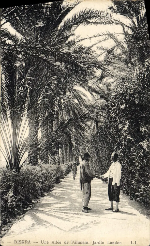 Biskra — Eine Allee von Palmen — Landon-Garten - Vorderseite