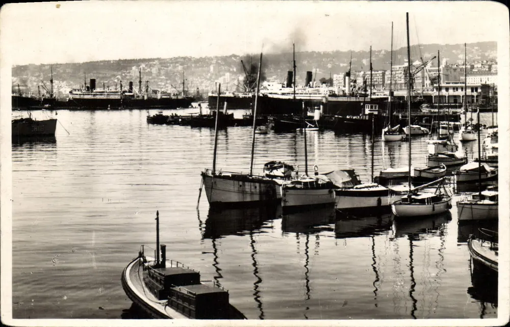 Hafen von Alger — Ansicht des Hafens mit Booten und Schiffen — Edition La Cognée, Nr. 203 - Vorderseite