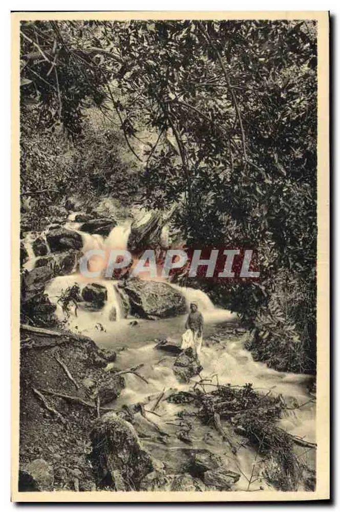 Umgebung von Blida — Ufer der Chiffa. Der Affenbach — Lévy & Neurdein Réunis, Paris - Vorderseite