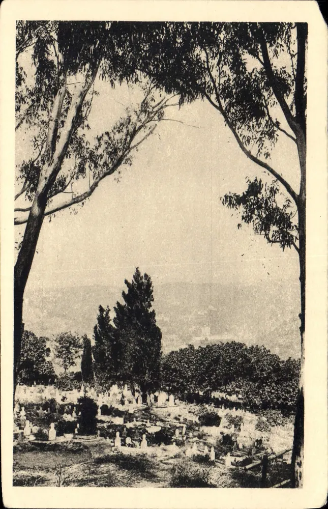 Cimitero indigeno di El-Kettar — Algeria — editore non visibile - Recto