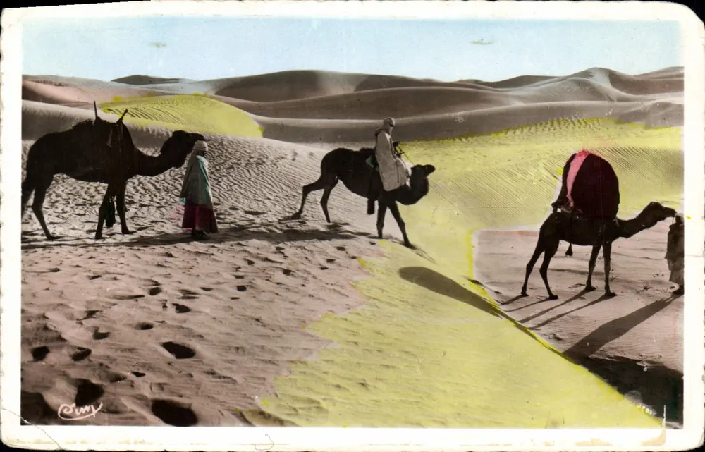 Bassour in den Dünen — Szene mit drei Kamelen und einem Hirten — Éditeur R. Prombo - Vorderseite