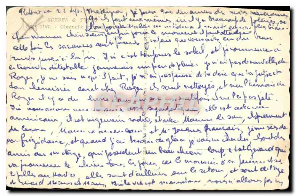 ऊंट और छोटा ऊंट — रेगिस्तान के दृश्य — प्रकाशक C.P. संख्या 1157 - पीछे