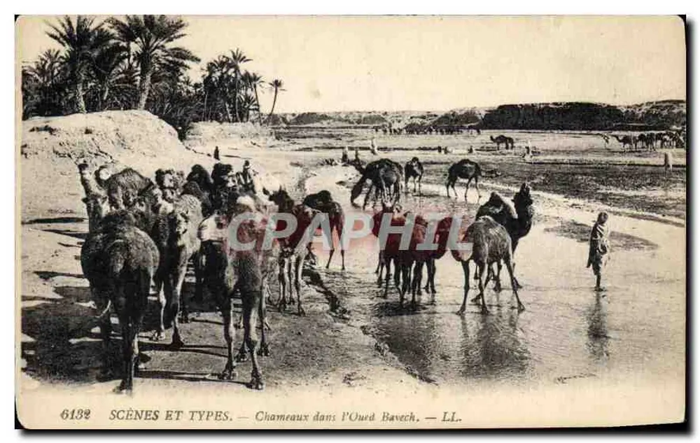 Camelos no Oued Bavech — SCÈNES ET TYPES — LL. - Frente