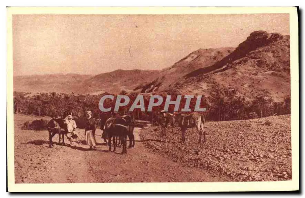 Aurès — Zwischen Djemora und Béni-Souik — Algerien — Centenar 1930 - Vorderseite
