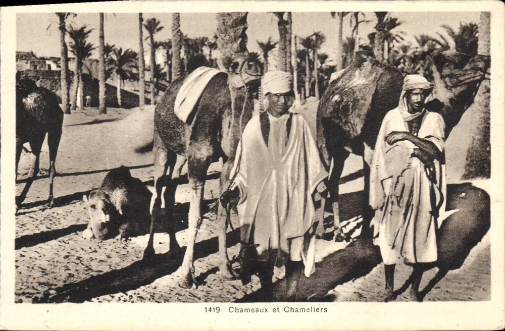 Camelos e Carregadores — Série 1419 — Edição L. M. Casablanca - Frente