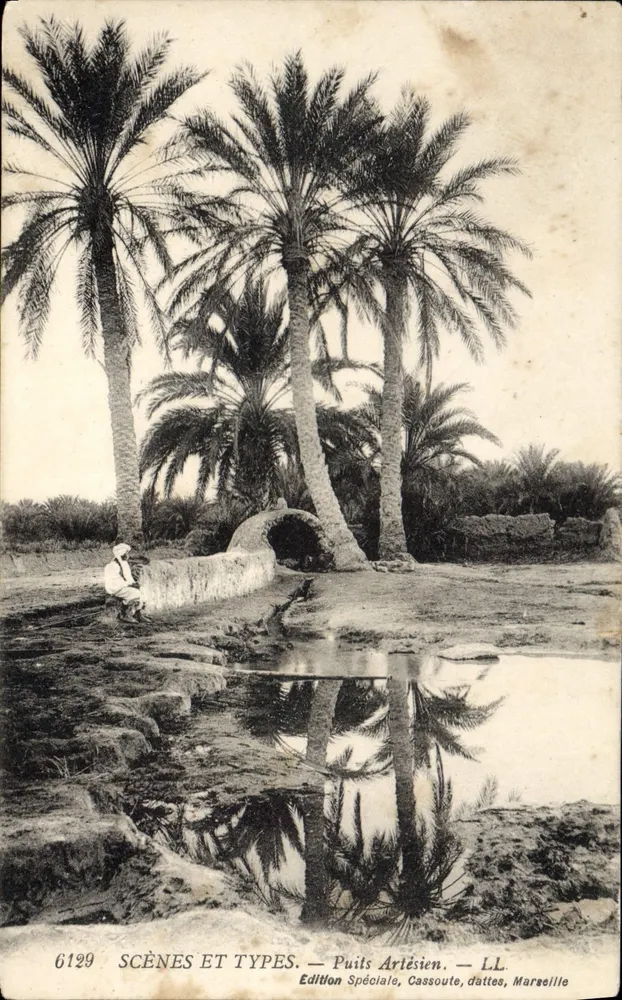 अर्लेसियन कुएं — दृश्य और प्रकार — विशेष संस्करण कैसूट, खुबानी, मास्केरोन - आगे