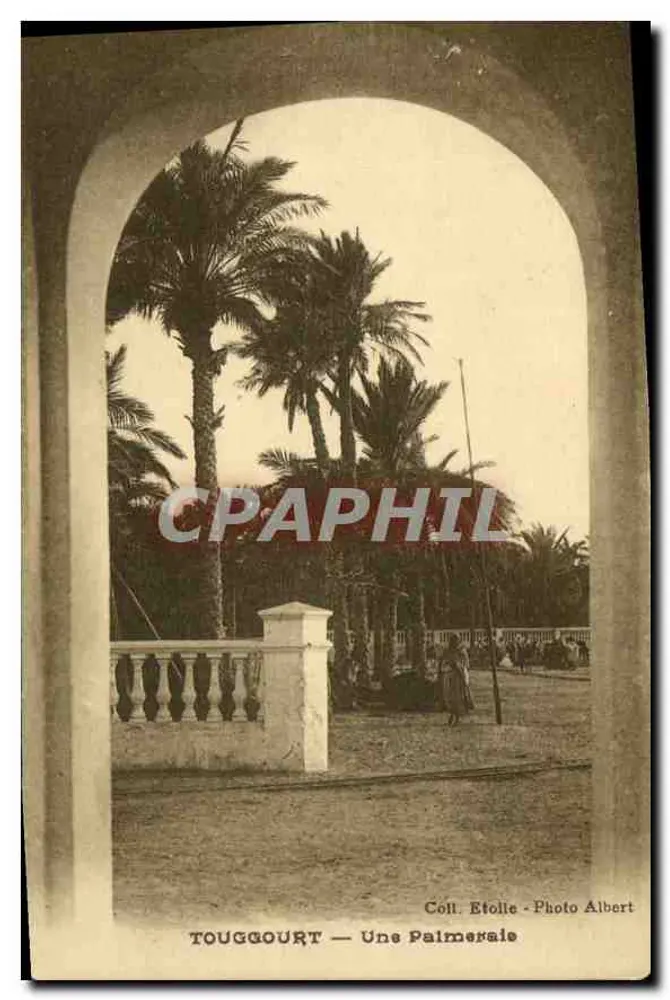 Touggourt — Een palmeraie — Coll. Etolie - Foto Albert - Voorkant