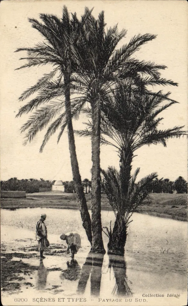 Paisagem do Sul — Scènes et Types n°6200 — Coleção Ideal - Frente