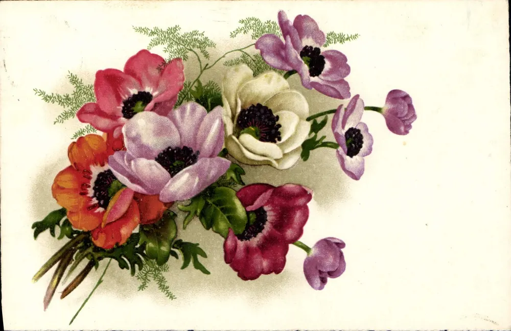 Arranjo de flores — anémonas coloridas — editor desconhecido, n° 698 - Frente
